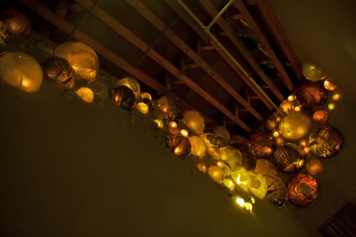 grimanesa amoros terrarium lighting installation