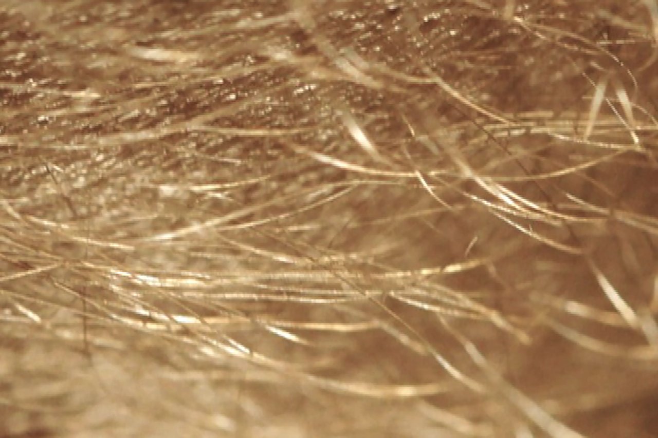 Grimanesa Amorós WHAT A PIECE OF WORK photography documenting the WHAT A PIECE OF WORK single channel video, exploring the dual meanings of the word "man" and the captivating perfection of the human body in nature. Photography by Grimanesa Amorós, 2008.