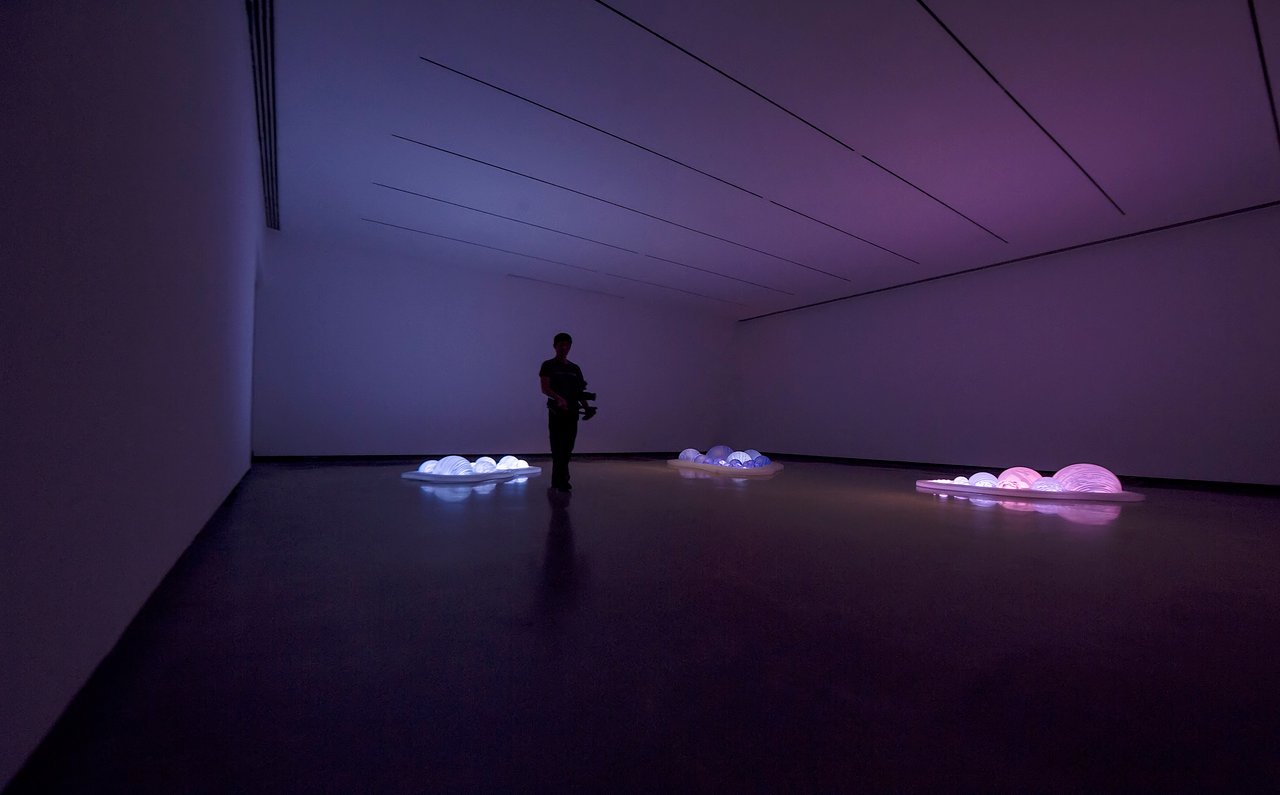 Grimanesa Amorós ONSITE KATONAH, site-specific LED sculpture and light sculpture created for the Edward Larrabee Barnes-designed campus of the Katonah Museum of Art, Katonah, New York, 2016. Exhibited in OnSite Katonah, a group exhibition in which artists reimagined every facet of the KMA's distinctive architectural campus through immersive light and material installations.