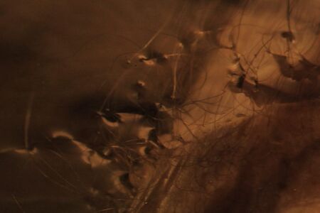 WHAT A PIECE OF WORK video by Grimanesa Amoros