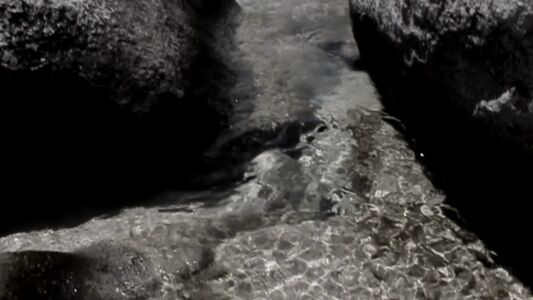 REFLECTION video by Grimanesa Amoros