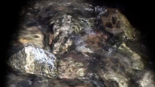 REFLECTION video by Grimanesa Amoros