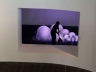ISLA DE LOS UROS | Museo Nacional de Bellas Artes de Taiwán | Taichung, Taiwán 2011 – 2012