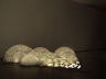 ISLA DE LOS UROS | Hoy Museo de Arte | Pekín, China 2011 – 2012