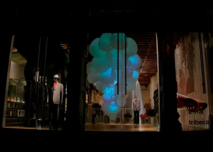 AURORA | tribeca ISSEY MIYAKE | New York, NY  2009-2010