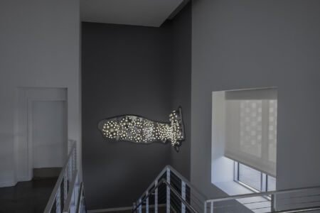 ARGENTUM | Bronx Museum of Arts | Bronx, NY 2024