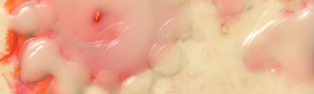 Grimanesa-amoros-encaustic-fluid-banner