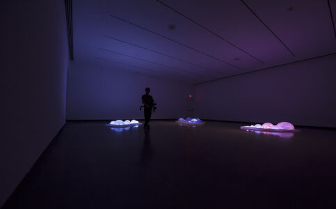 LUZ ENTRE LAS ISLAS | Museo Katonah | Nueva York 2016