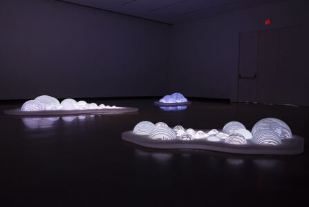 LUZ ENTRE LAS ISLAS | Museo Katonah | Nueva York 2016