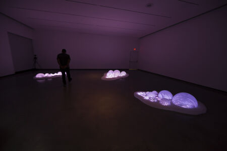 LUZ ENTRE LAS ISLAS | Museo Katonah | Nueva York 2016