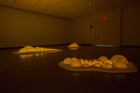 LUZ ENTRE LAS ISLAS | Museo Katonah | Nueva York 2016foto de Margaret Fox