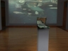 REMOLINO – LA MALETA DEL INMIGRANTE | Tina B. Festival de Arte / Festival Optica | Praga, República Checa 2009