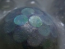 SPARKLING AURORA | Mixed Meda Sculpture | 2008