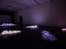 LIGHT BETWEEN THE ISLANDS | Litvak Gallery | Tel Aviv, Israel 2013