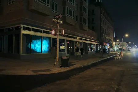 TAPIZ | No Longer Empty | New York, NY 2010