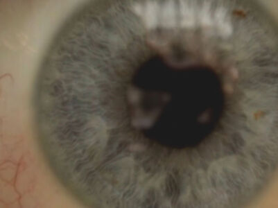 PREOCCUPATION video by Grimanesa Amoros