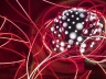 Pink Lotus Light Sequence | The Peninsula New York