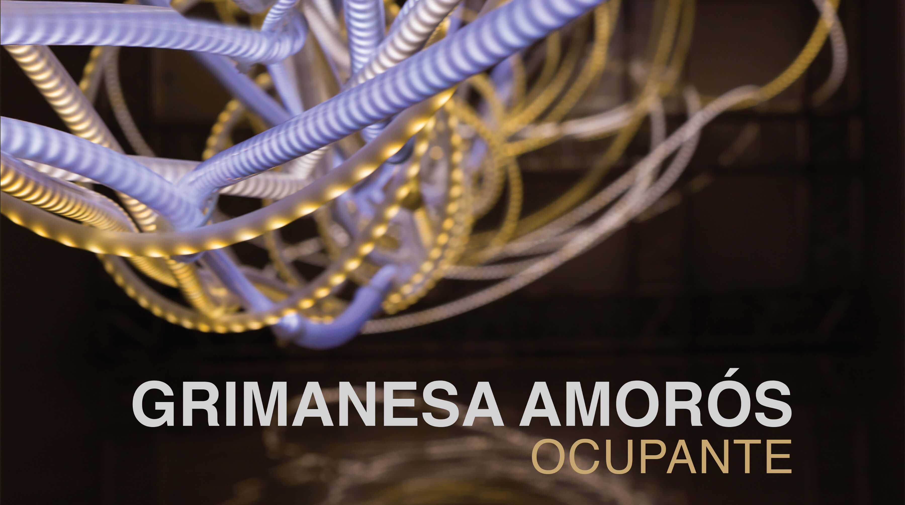 grimanesa amoros ocupante light installation hirmer catalogue front cover