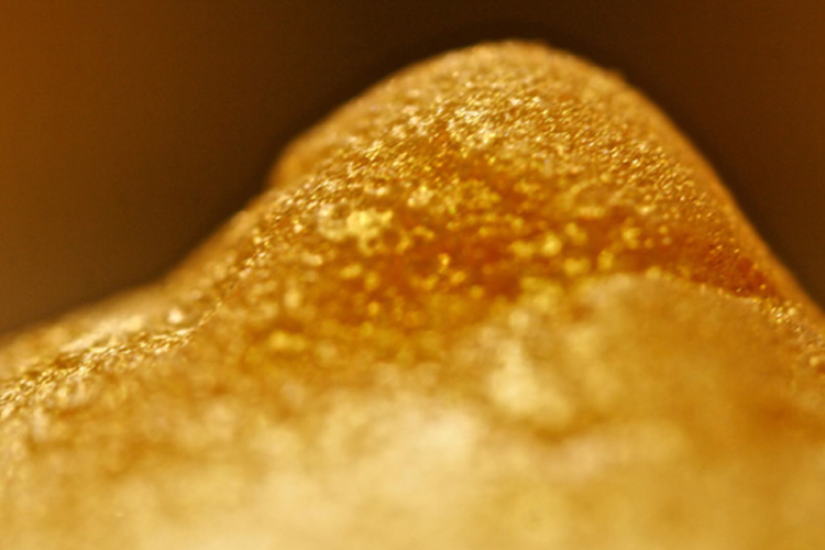 GOLDEN NIPPLES