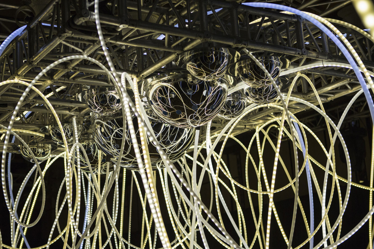 GOLDEN CONNECTION