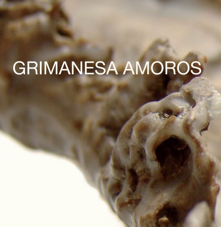 grimanesa amoros Between Heaven and Earth