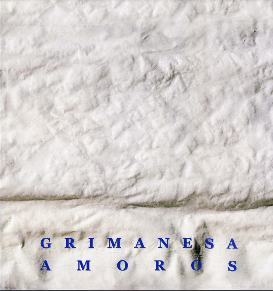 grimanesa amoros Falling, Tell Me Your Story