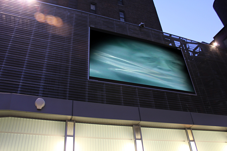 THE BIG SCREEN PROJECT
