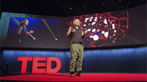 TEDGlobal South
