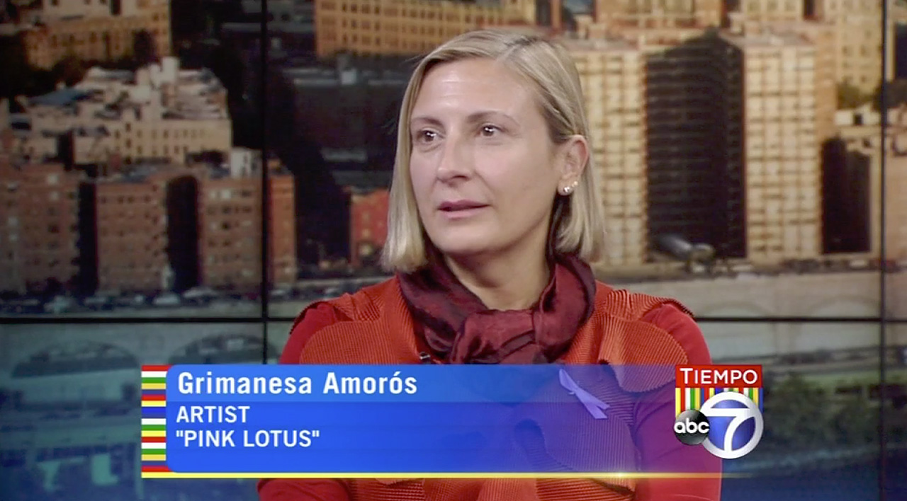 grimanesa amoros at tiempo ABC7 NY interview with Joe Torres