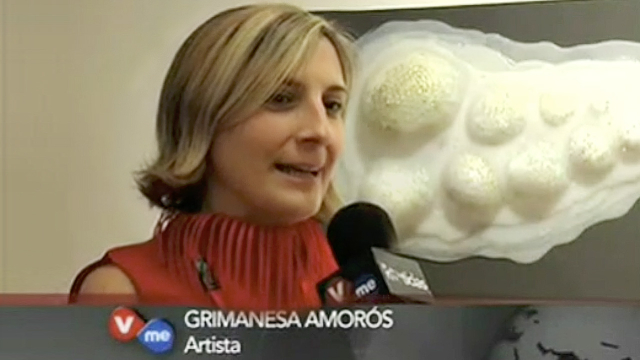 grimanesa amoros V-me TV