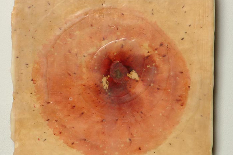 BODY CELLS