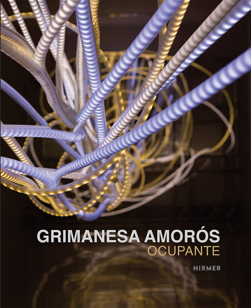 grimanesa amoros GRIMANESA AMOROS: OCUPANTE