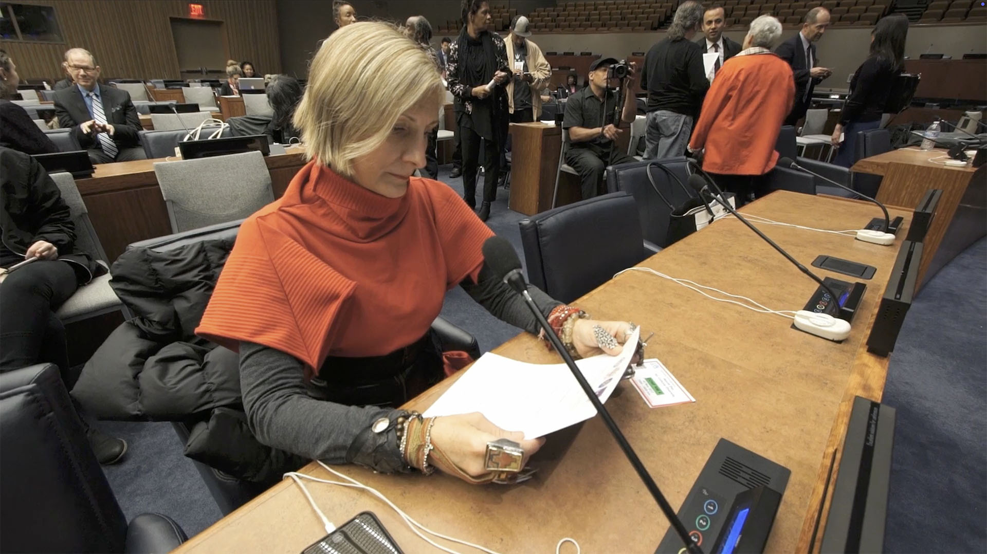Grimanesa Amoros United Nations