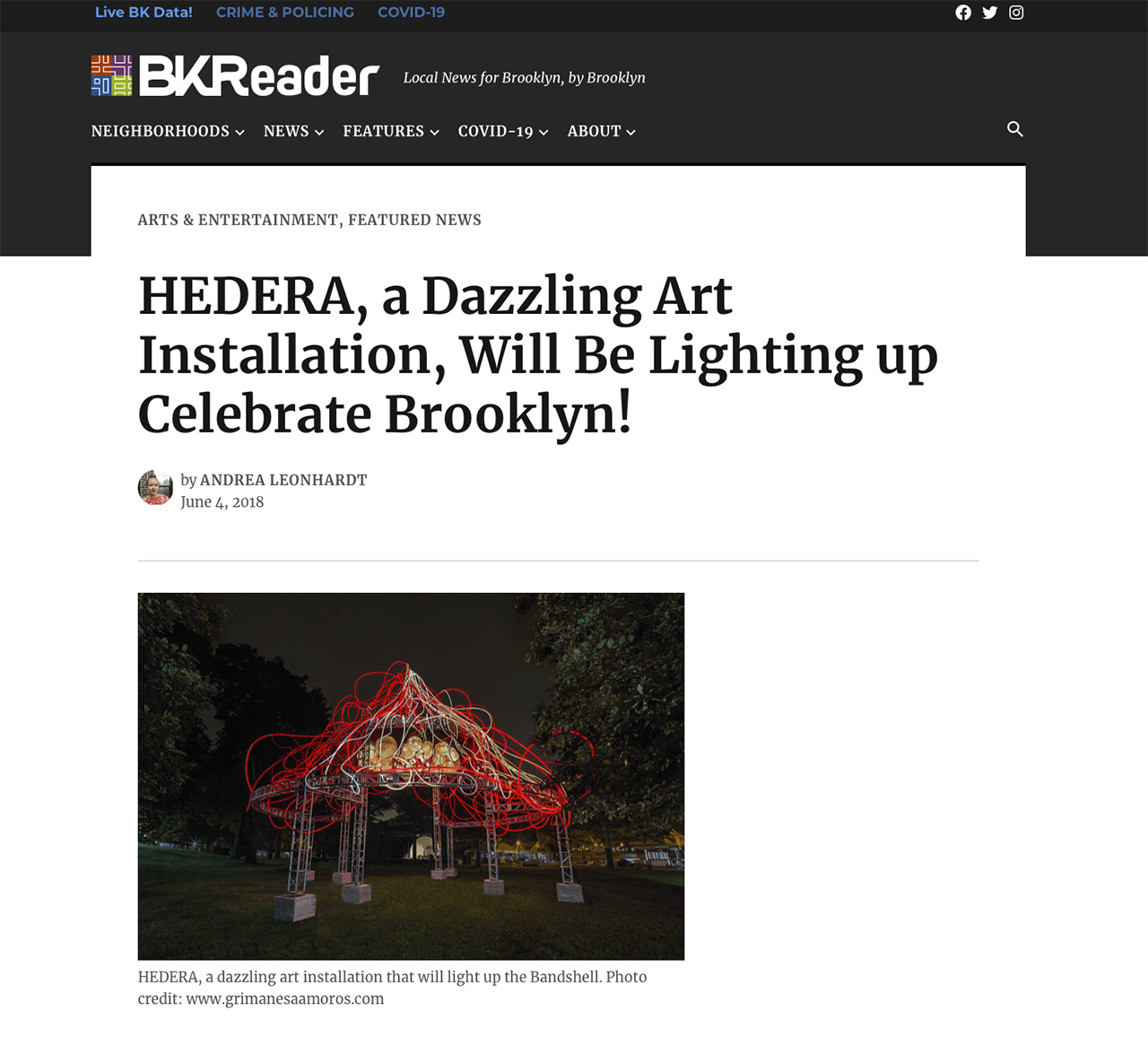 grimanesa amoros BK Reader Brooklyn Hedera Bric light artwork