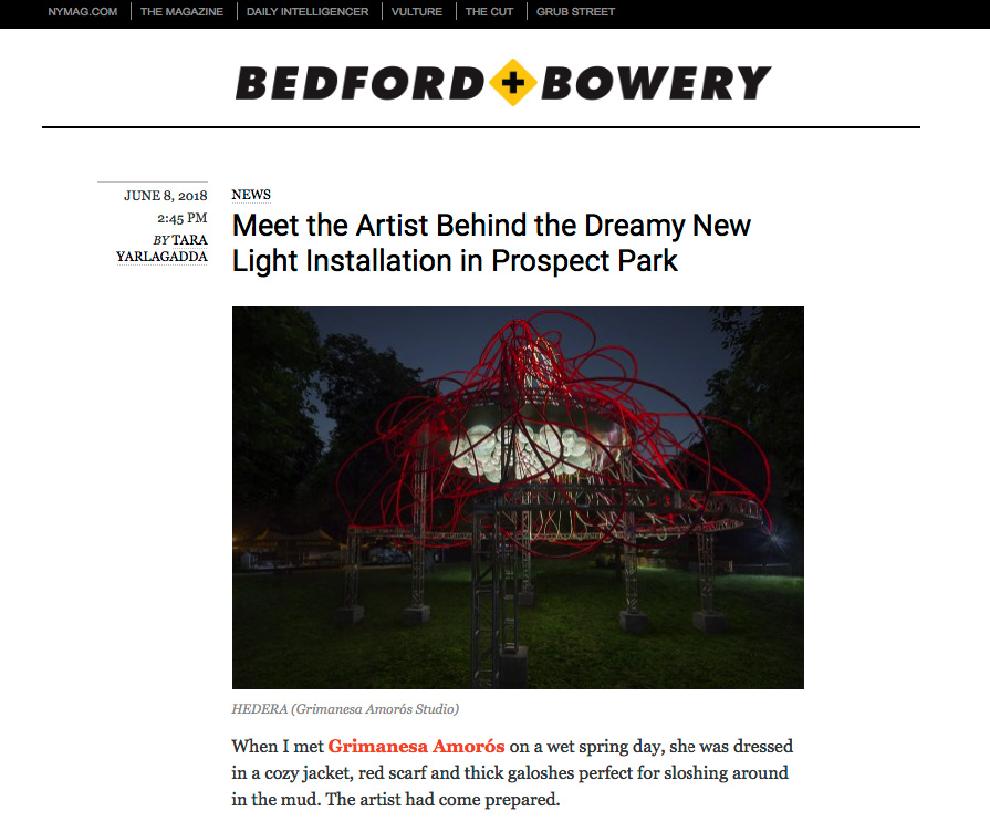 bedford bowery article featuring light art Hedera by grimanesa amoros
