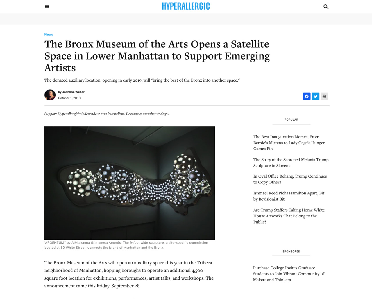 hyperallergic article featuring bronx museum new AIM program with grimanesa amoros argentum light artwork