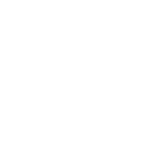 Instagram Icon in White