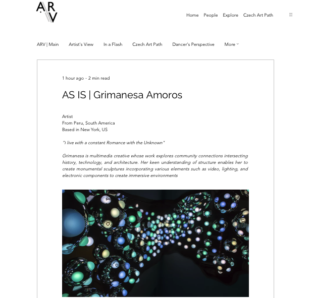 Grimanesa Amoros AVR interview