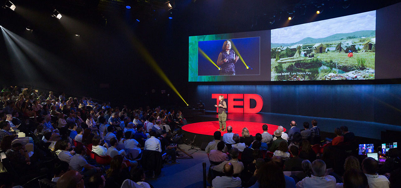 Grimanesa Amoros TED Global Speaker